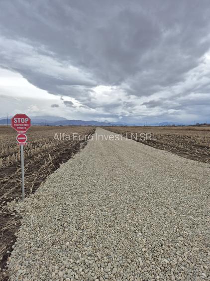 LOTURI TEREN CASA - INTRAVILAN BRASOV - 2