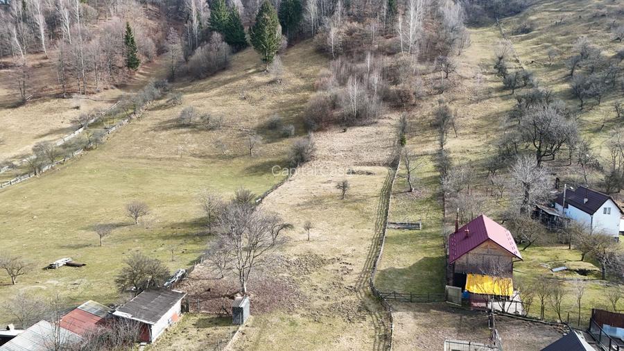 Teren de poveste pe coama muntelui – Vedere panoramică Piatra Craiului - 4