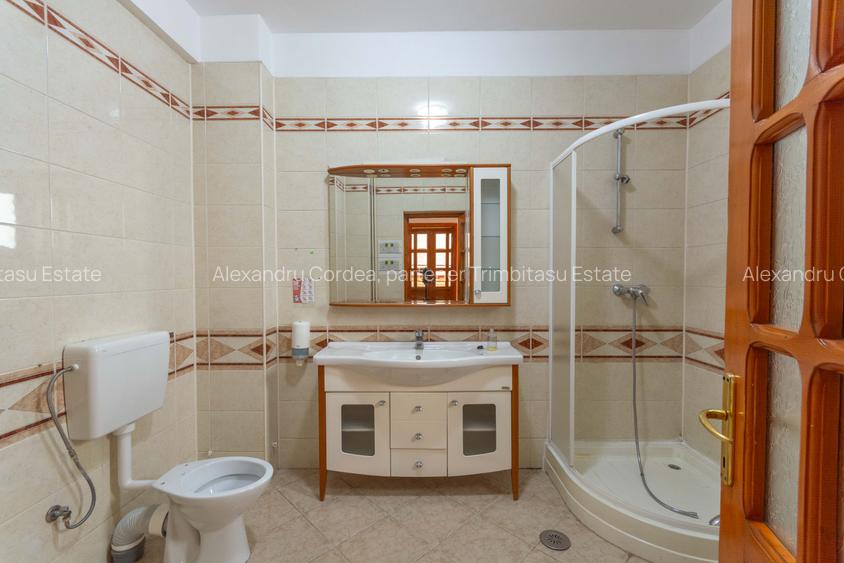 Aviatiei | Smaranda Braescu | Vila reprezentativa de inchiriat - 14