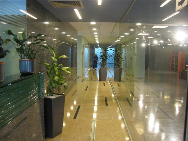 Grand Offices Floreasca - spatiu de birouri de la 317 mp - 6
