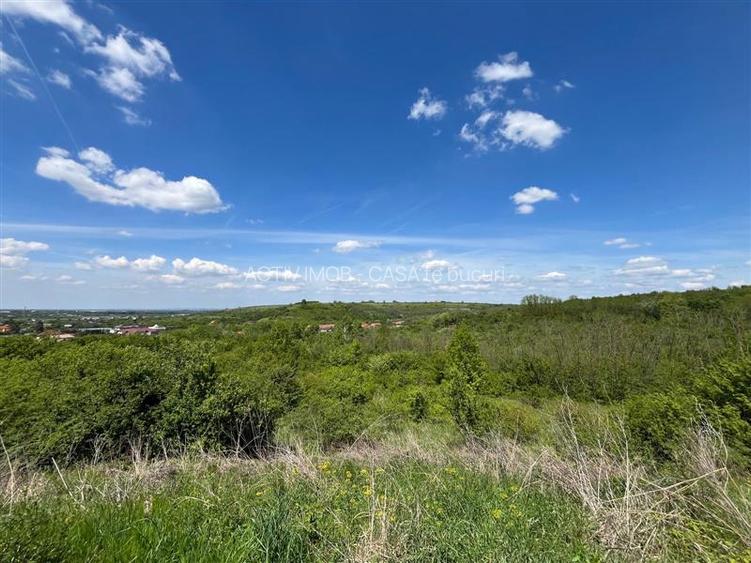 Lugoj Teren  8.200 Mp., Dealul Viilor, Priveliste Impresionanta - 13