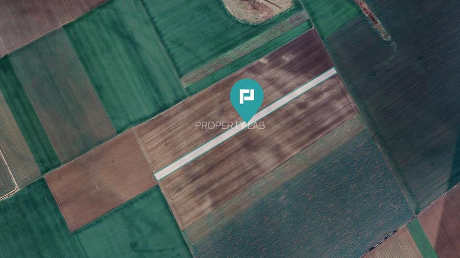 Teren 30.000 mp la drum asfaltat – Peciu Nou - 4