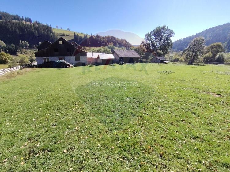 Casă în Vatra Dornei, zona Argestru, cu 11.541m.p. TEREN INTRAVILAN - 8