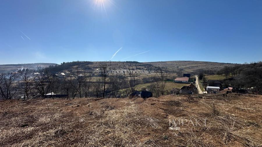 Casa pe un nivel | Teren 2.977 mp | Panorama deosebita | Suceagu - 7