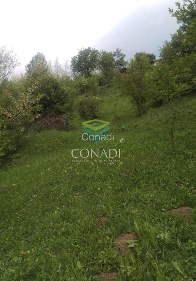 Teren Breaza  800mp pe colina priveliste superba - 9