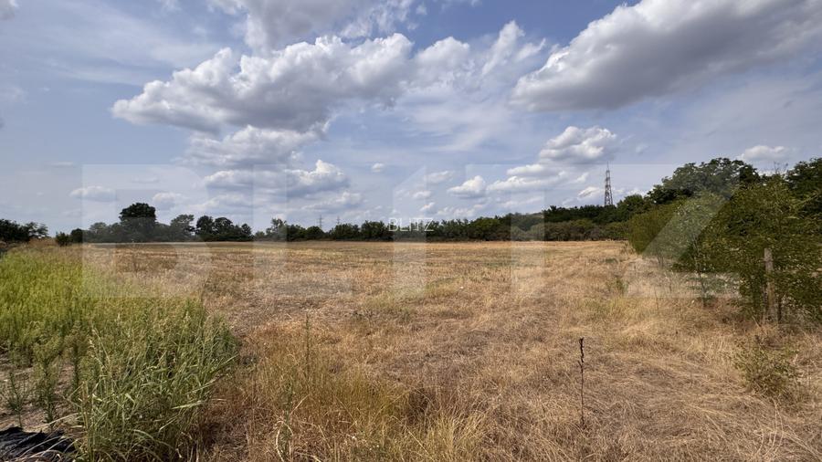 Teren EV si IV cu casa, 29.600 mp, utilitati si acces facil, Albesti - 3