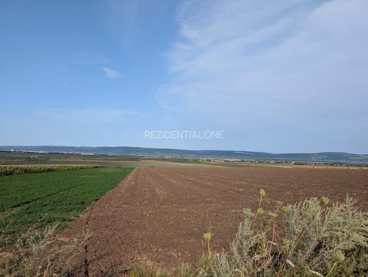Sărata- lângă Mun. Bacău- 4000 mp- oportunitate investiție - 3