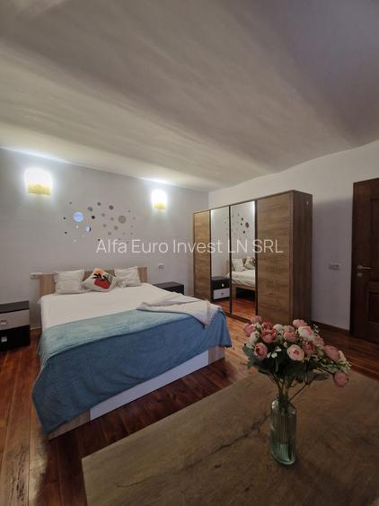 Locuință Boemă la Demisol, 2 Camere în Vilă -Comision 0% Chirias - 2