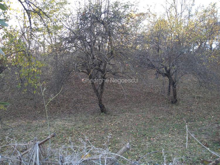 Teren intravilan 3.788 mp, deschidere 39 m, Fieni, sat Costești, jud. Dâmbovița - 6