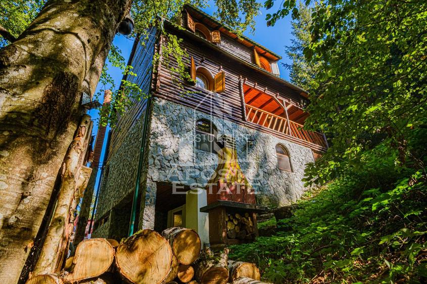 Pensiune, casa de vacanta, 6 camere, statiunea Rausor din Hunedoara - 13