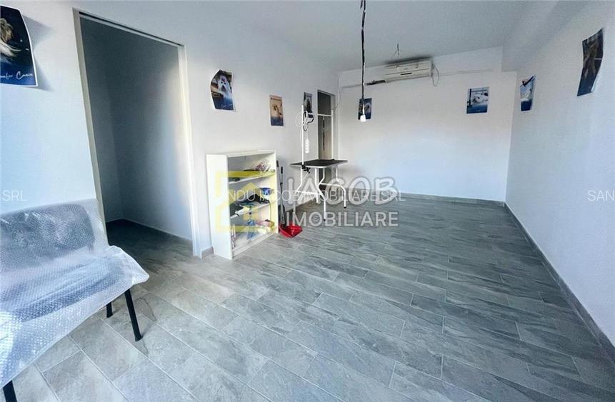 Spatiu amenajat pentru functionalitate multipla, se inchiriaza partial sau total - 11