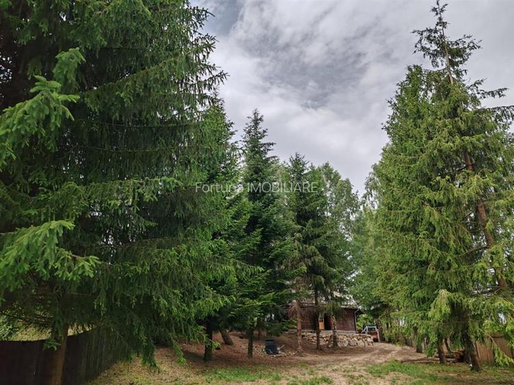 Teren cu casa de vacanta 3300 mp Rasnov Zona Glajarie - 4