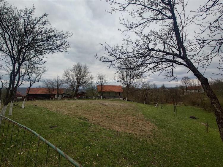 10 000 mp teren intravilan cu priveliste - 6