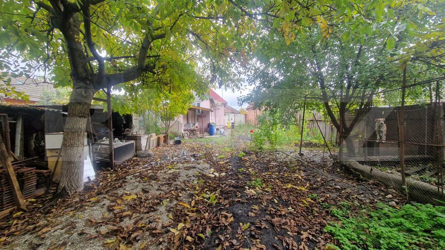 Casa 4 camere 1150 mp teren, la asfalt toate utilitatiile - 3