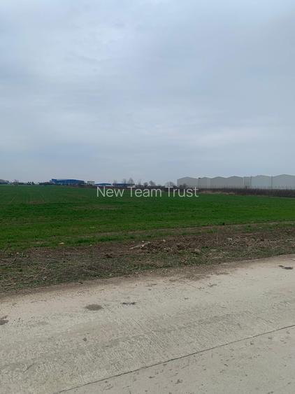 Afumati DJ 200 Teren extravilan - 4