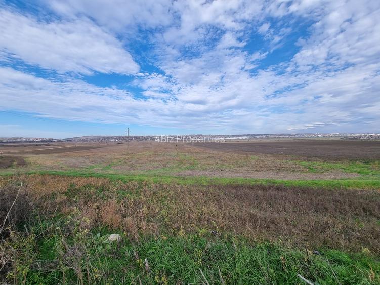 Teren 1 Ha - Gaureni, Miroslava - Zona Mall Moldova - 6