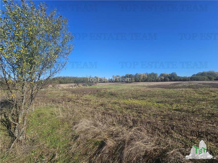 SUPER-PRET Teren 1ha intravilan intre A0, padure si raul Sabar - 4