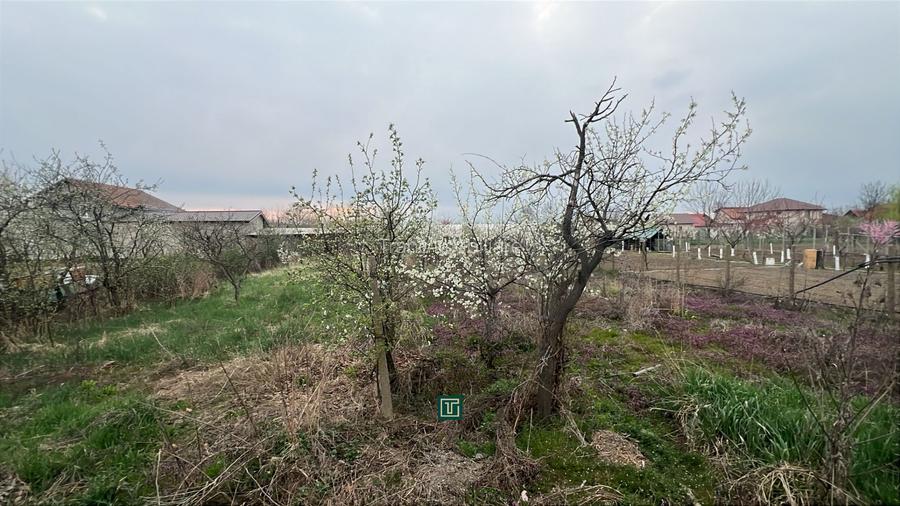 Teren intravilan generos de vânzare în Recaș - 9