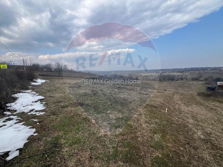 Teren intravilan Dumbraveni / Strada Principala - 6