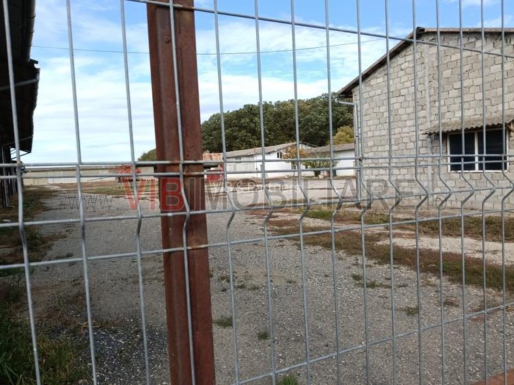 Ferma Agricolă 1.350 Hectare – Grad de Comasare 96–97%, Chișineu Criș, Județul A - 9