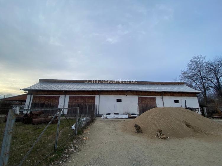 Hală si teren in centru Baia de Fier, Gorj - 7