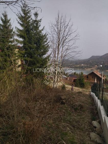 Teren intravilan 1615 mp-ideal cabane turism-Colibita, Oferta unica! - 4