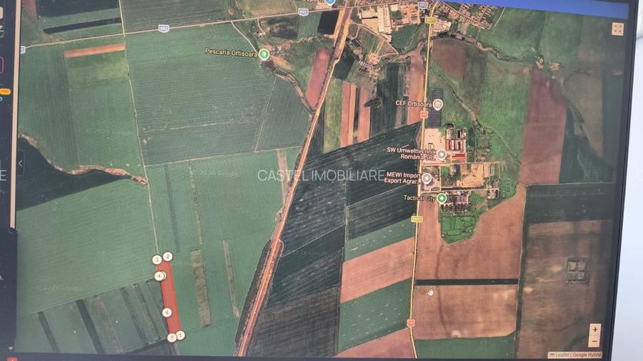 Timisoara Ortisoara-tere agricol  4 hectare comasat - 8