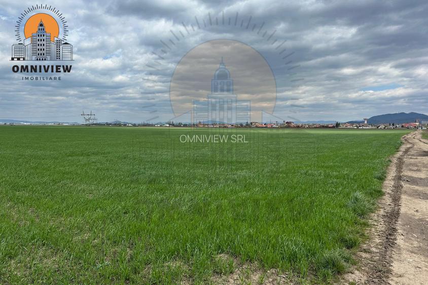 Teren 10.000 mp Ghimbav – deschidere DN1 (E68) – investiție sigură - 3