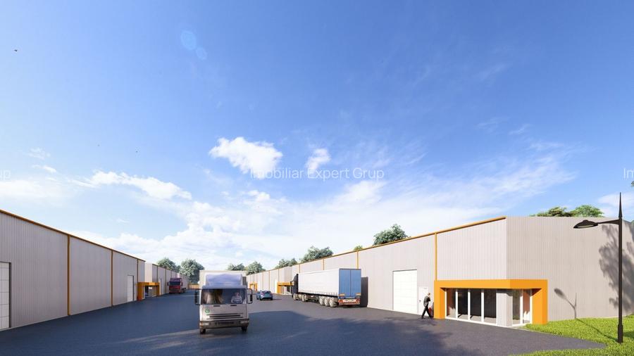 Hale de vanzare in Afumati - 6