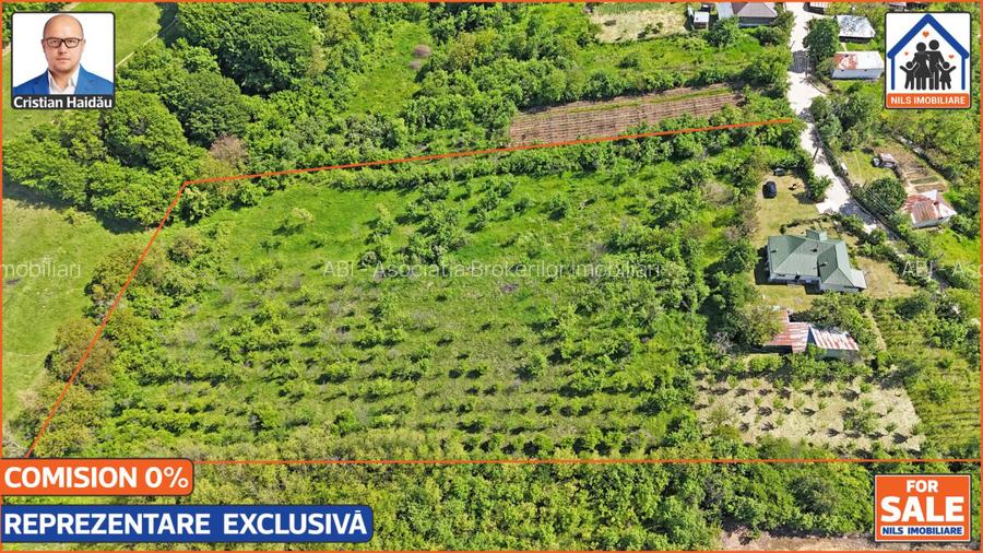 Casa renovata 141mp   Teren 10.000mp | Podenii Vechi - PH - 11