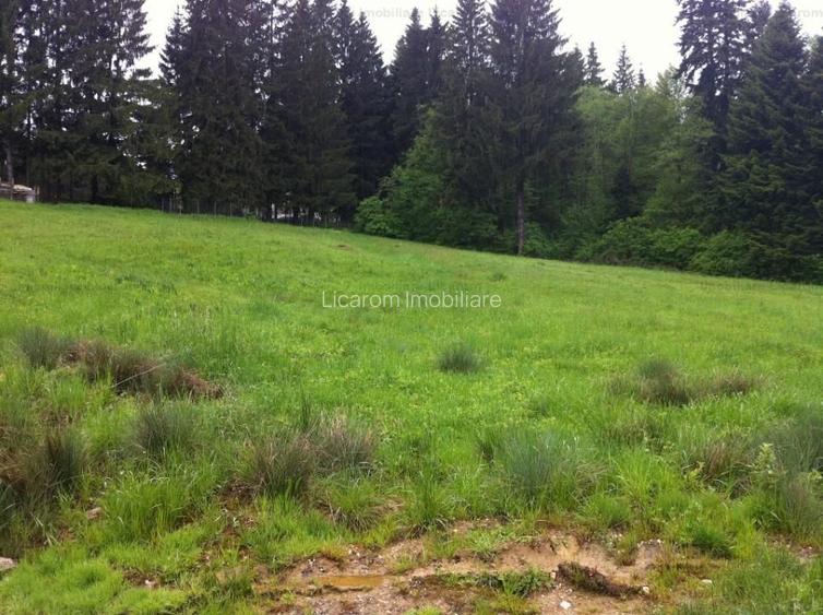 Teren intravilan Cotul Donului,pretabil Hotel/pensiune. - 17