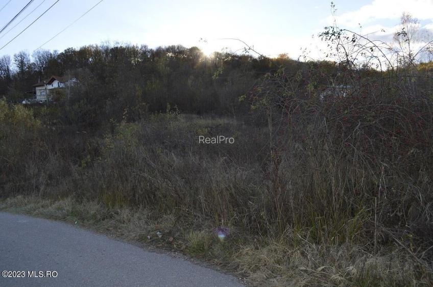 Babana - Centru - Primarie, Teren intravilan 13742 mp! - 15