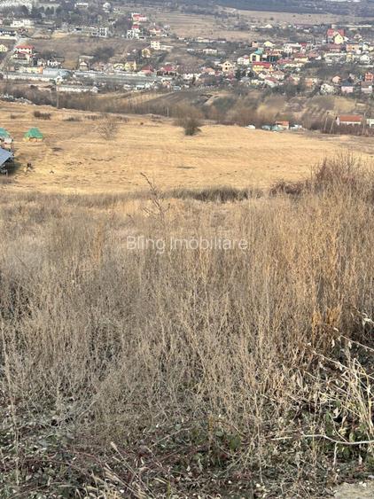 Teren 9.555mp front 28ml constructie ansamblu case Iris  - 2