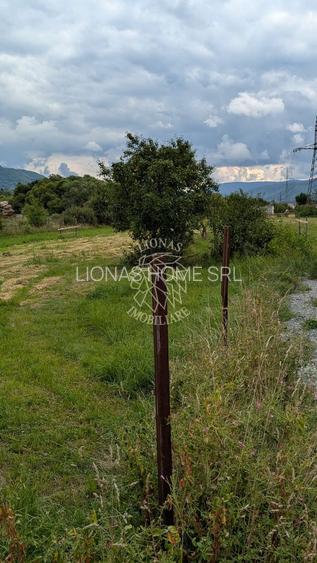 Teren intravilan 500 mp cu utilitati-ideal casa-Bistrita Bargaului - 2