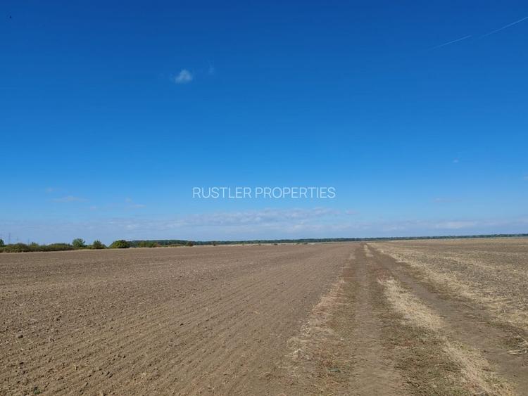 Teren de 19.000 mp de vanzare in Ștefanestii de Jos - ideal pentru hale. - 3