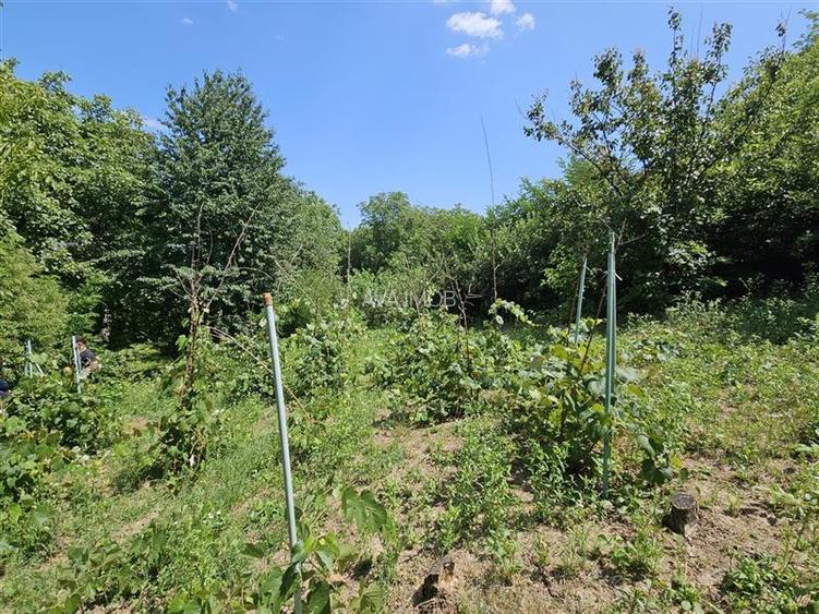 Casa spatioasa de vanzare in centrul satului Racaciuni – teren generos, livada, - 18