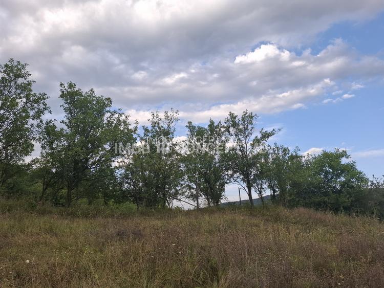 Teren spectaculos cu padure, livada si priveliste panoramica in Soimari PH - 20