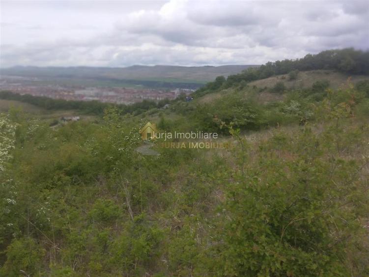 teren extravilan 3640 mp Strada Stejarului - 8