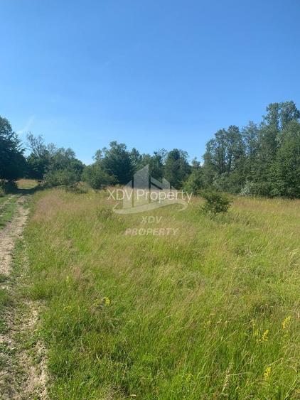 Teren in zona turistica Porumbacu de Sus, 4600 mp - 3
