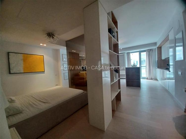Inchiriere 2 Camere Studio Piata Victoriei- Sfintii Voievozi - 10