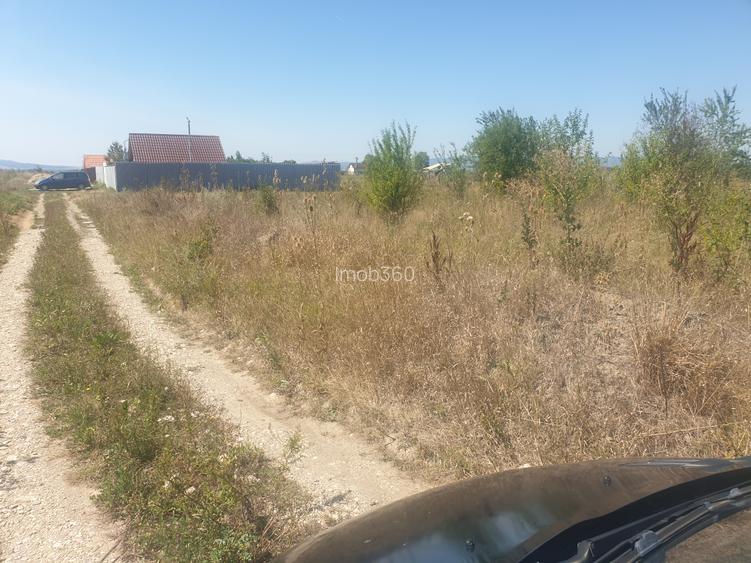 Teren Sanpetru intravilan acces din DJ - 4