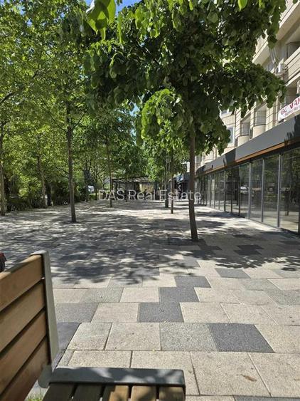 Apartament 2 camere Decebal, Piata Muncii, bloc 1999 - 8