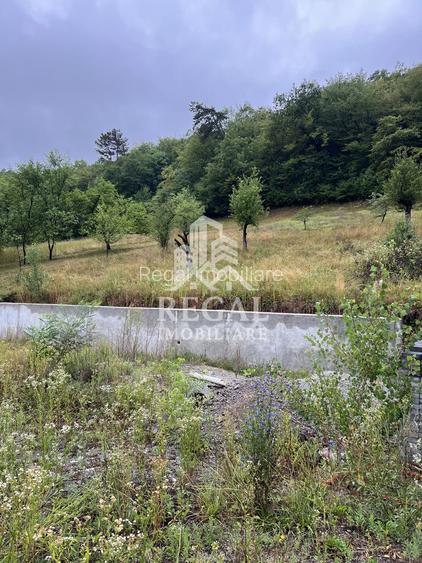 Proprietate cu potențial, într-un cadru natural de vis – 3581 mp teren - 2