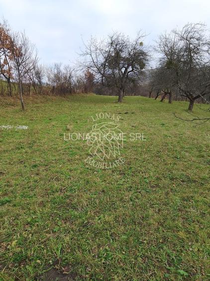 Teren 3966 mp-2 deschideri-curent-investitie-Budacu de Sus - 5