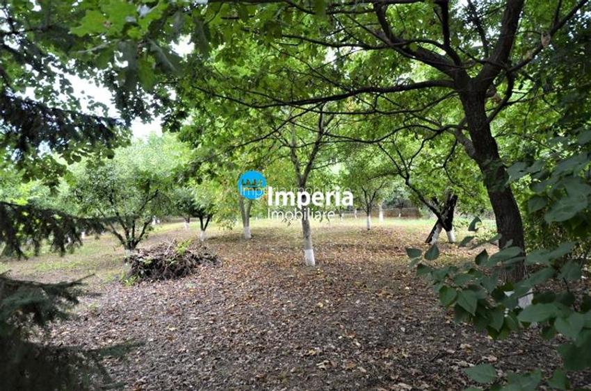 Casa de vanzare in Iasi, zona Tomesti - 14