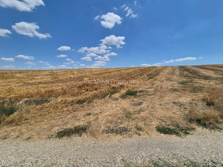 teren la lac Frumusani - 20