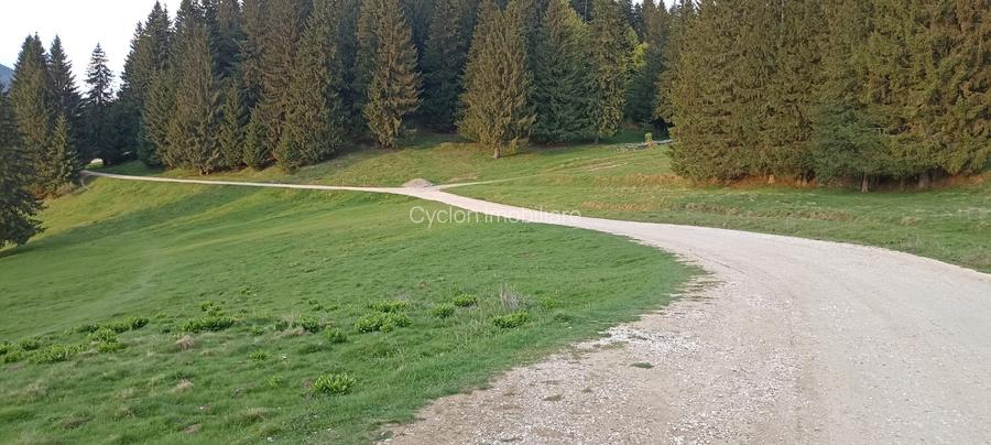 Se vinde teren 900 mp/25 ml toate utilitatile, Predeal laga Cabana Trei Brazi - 10