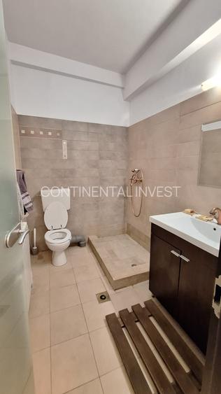 Apartament superb si luminos  4 camere Cismigiu cu terasa 18m - 15