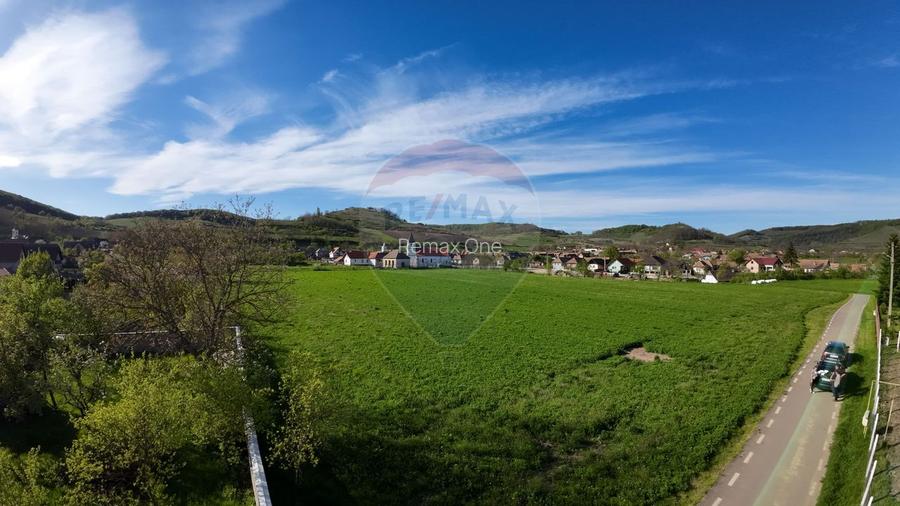 OPORTUNITATE INVESTIȚIONALĂ – TEREN INTRAVILAN 7.342 MP ALMA – SIBIU - 4
