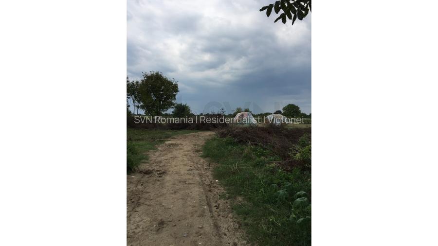 REL4000117 Teren Ciolpani - Piscu - loturi intre 968 mp si 974 mp - 7